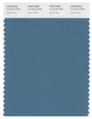 Pantone Smart 17-4716 TCX Color Swatch Card | Storm Blue