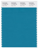 Pantone Smart 17-4728 TCX Color Swatch Card | Algiers Blue