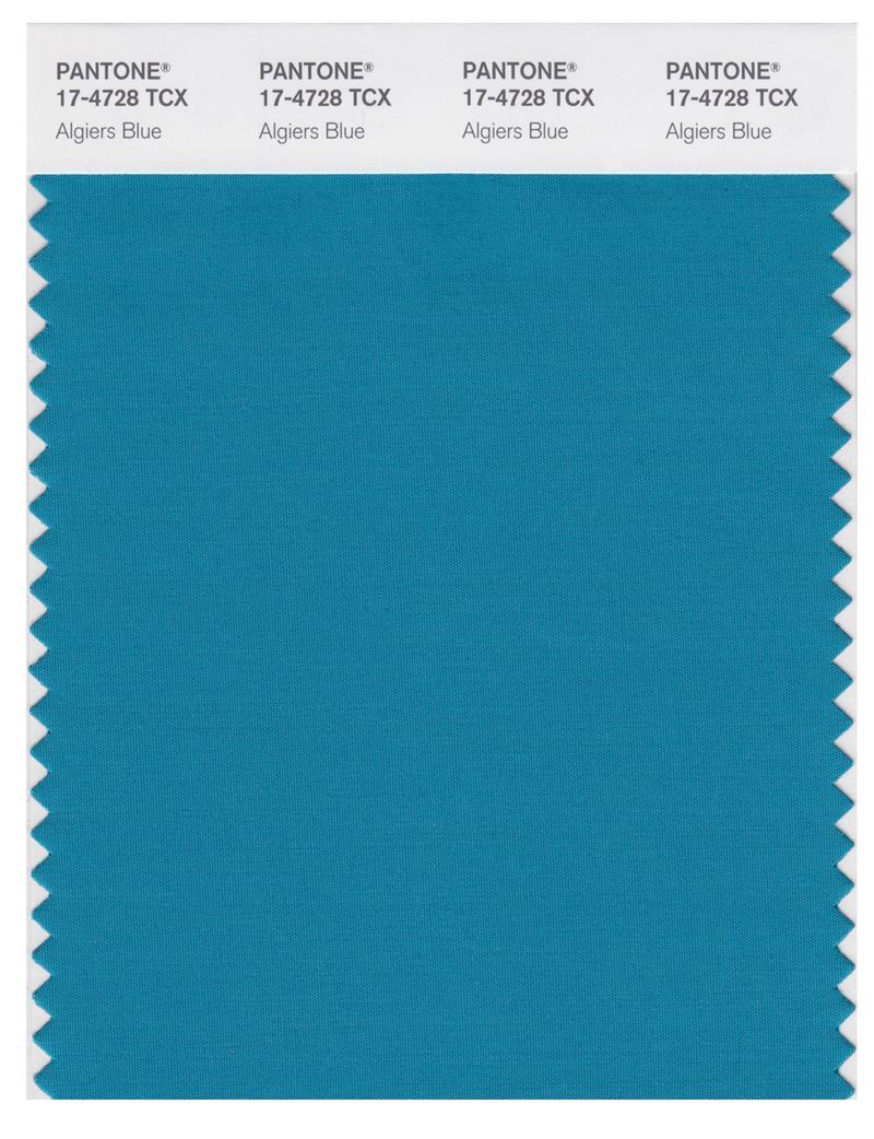 Pantone Smart 17-4728 TCX Color Swatch Card | Algiers Blue