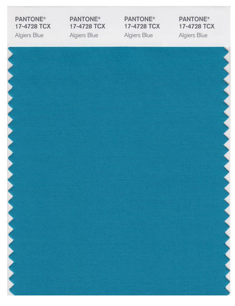 Pantone Smart 17-4728 TCX Color Swatch Card | Algiers Blue