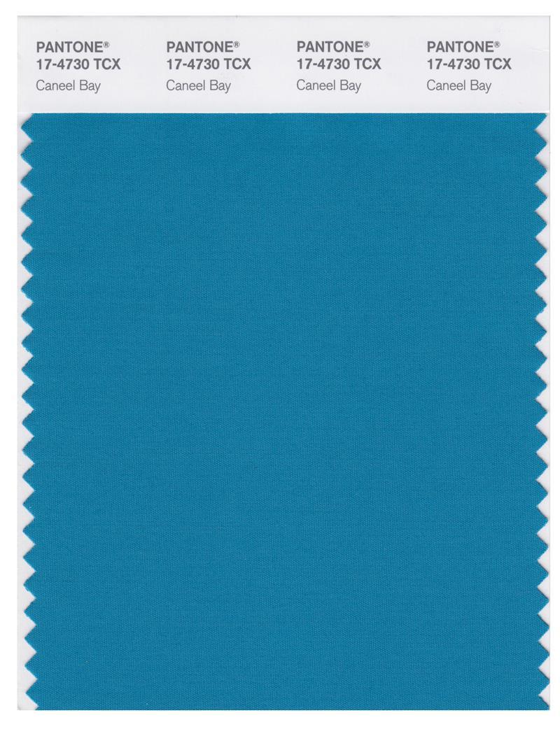 Pantone Smart 17-4730 TCX Color Swatch Card | Caneel Bay