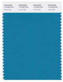 Pantone Smart 17-4730 TCX Color Swatch Card | Caneel Bay