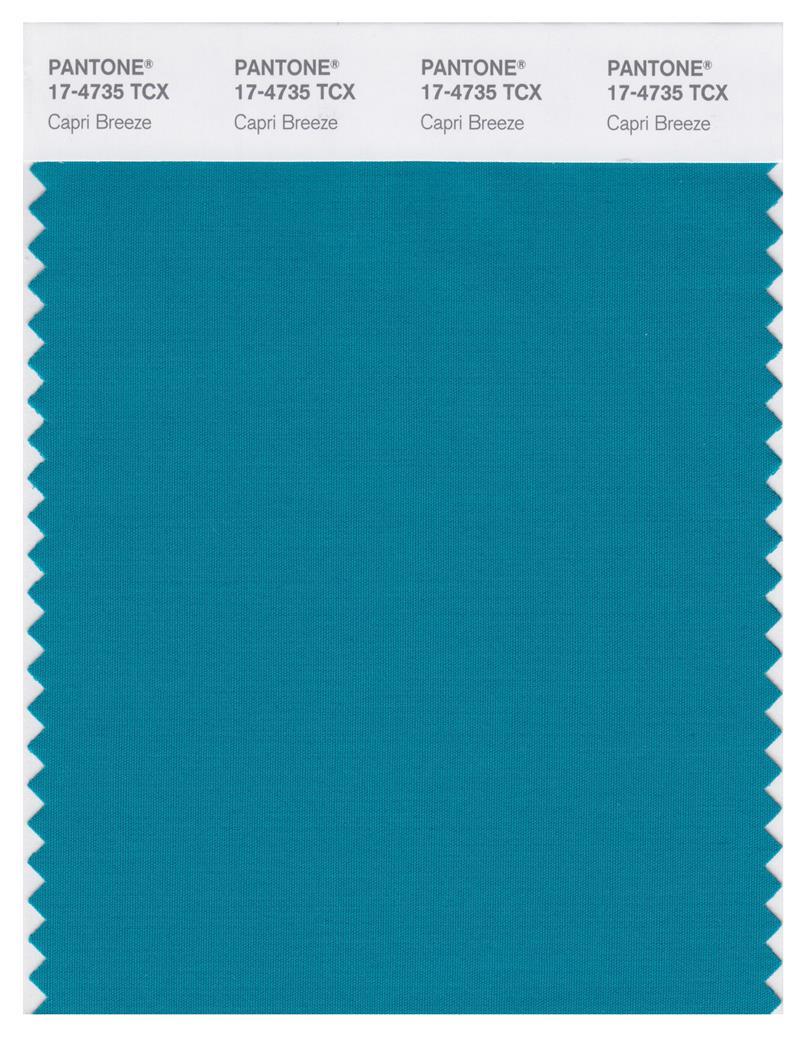 Pantone Smart 17-4735 TCX Color Swatch Card | Capri Breeze