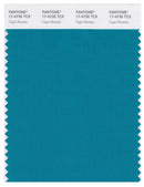 Pantone Smart 17-4735 TCX Color Swatch Card | Capri Breeze