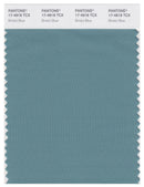 Pantone Smart 17-4818 TCX Color Swatch Card | Bristol Blue