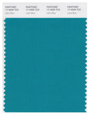 Pantone Smart 17-4928 TCX Color Swatch Card | Lake Blue