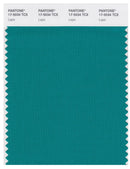 Pantone Smart 17-5034 TCX Color Swatch Card | Lapis