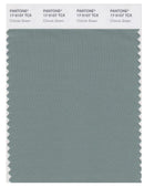 Pantone Smart 17-5107 TCX Color Swatch Card | Chinois Green