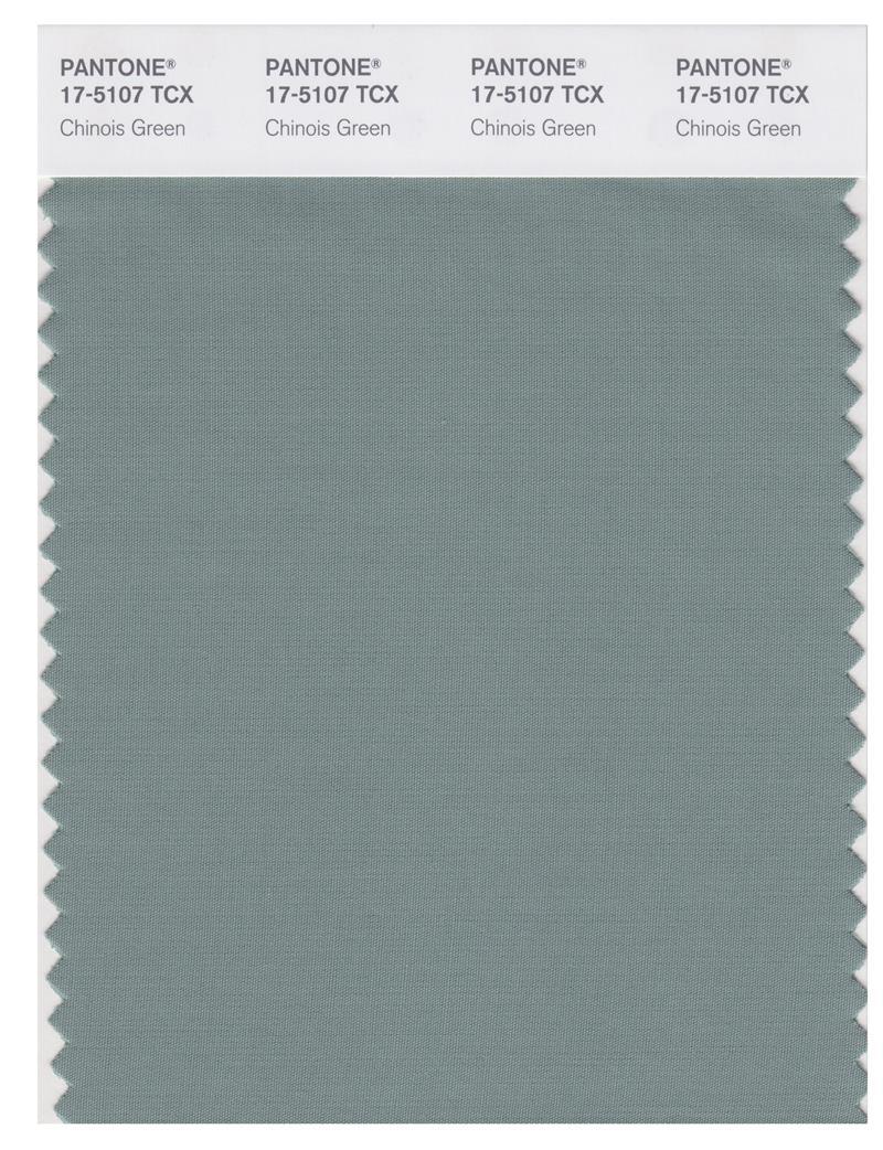Pantone Smart 17-5107 TCX Color Swatch Card | Chinois Green