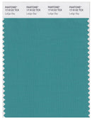 Pantone Smart 17-5122 TCX Color Swatch Card | Latigo Bay