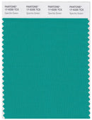 Pantone Smart 17-5335 TCX Color Swatch Card | Spectra Green