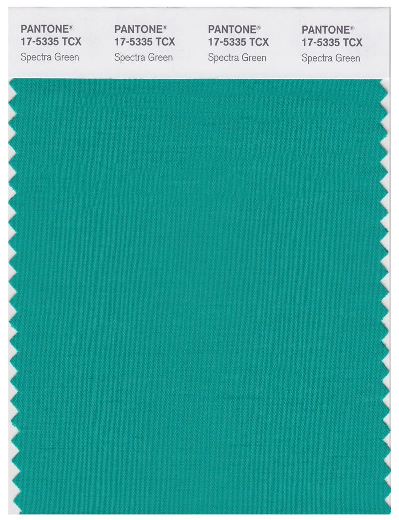 Pantone Smart 17-5335 TCX Color Swatch Card | Spectra Green