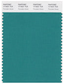 Pantone Smart 17-5421 TCX Color Swatch Card | Porcelain Green