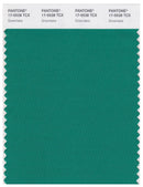 Pantone Smart 17-5528 TCX Color Swatch Card | Greenlake