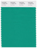 Pantone Smart 17-5638 TCX Color Swatch Card | Vivid Green