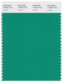 Pantone Smart 17-5641 TCX Color Swatch Card | Emerald