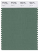 Pantone Smart 17-5912 TCX Color Swatch Card | Dark Ivy