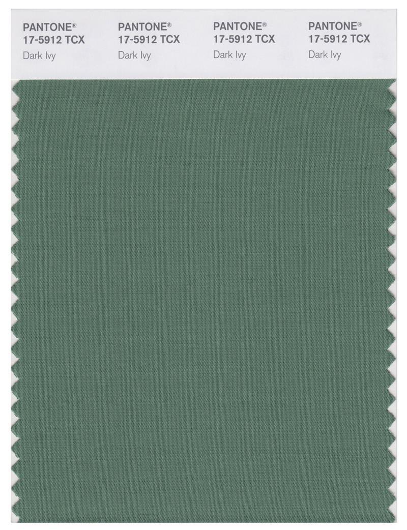 Pantone Smart 17-5912 TCX Color Swatch Card | Dark Ivy