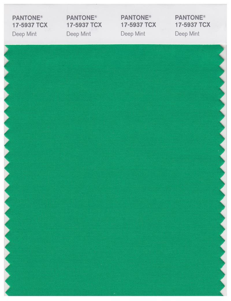 Pantone Smart 17-5937 TCX Color Swatch Card | Deep Mint