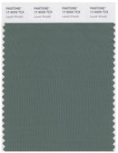 Pantone Smart 17-6009 TCX Color Swatch Card | Laurel Wreath