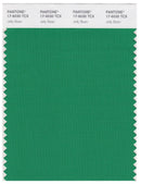 Pantone Smart 17-6030 TCX Color Swatch Card | Jelly Bean