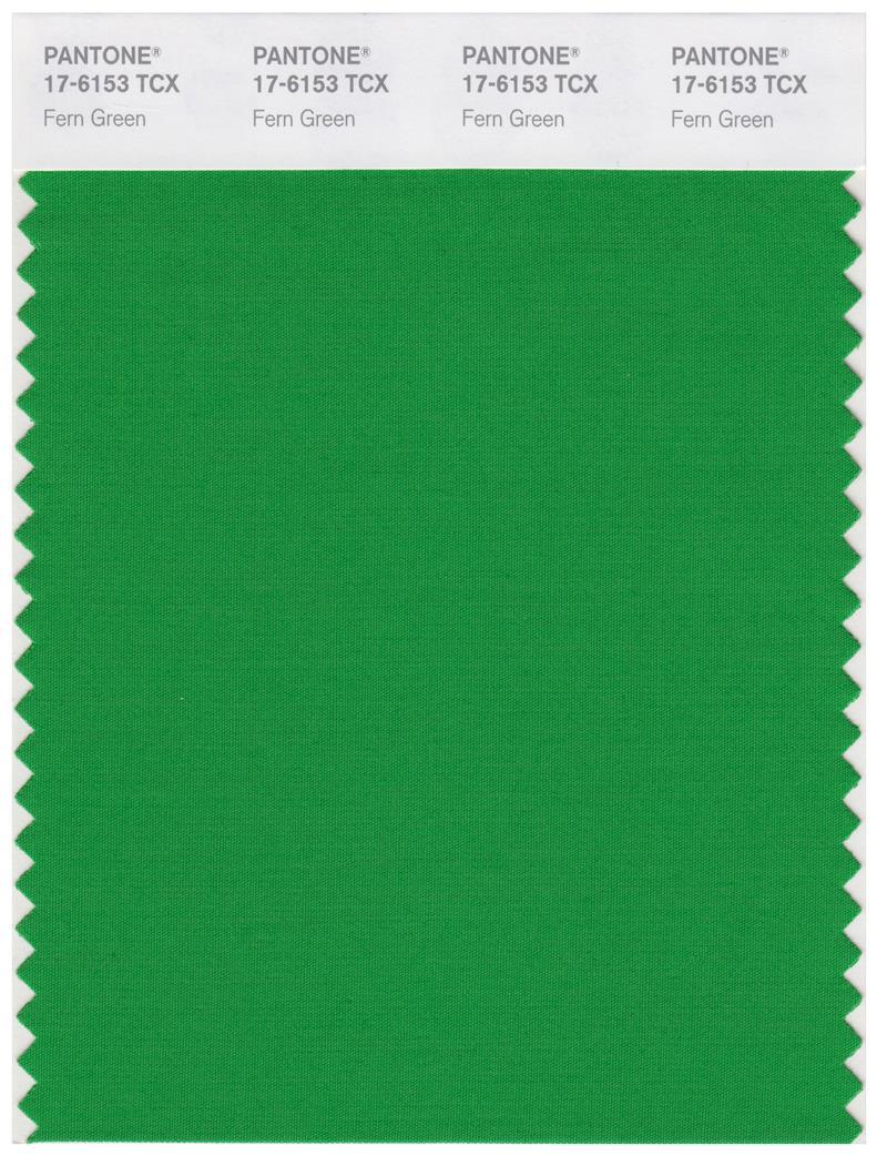 Pantone Smart 17-6153 TCX Color Swatch Card | Fern Green Pantone Smart 17-6153 TCX Color Swatch Card | Fern Green