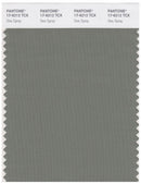 Pantone Smart 17-6212 TCX Color Swatch Card | Sea Spray