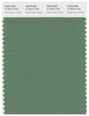 Pantone Smart 17-6219 TCX Color Swatch Card | Deep Grass Green