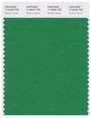 Pantone Smart 17-6229 TCX Color Swatch Card | Medium Green