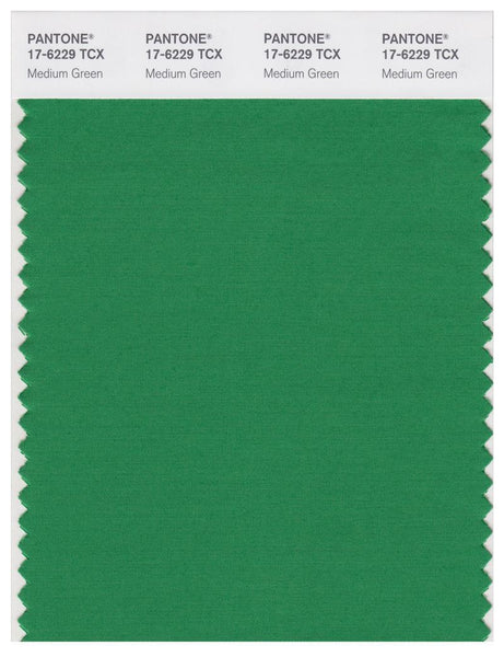 Pantone Smart 17-6229 TCX Color Swatch Card | Medium Green