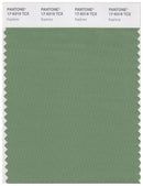 Pantone Smart 17-6319 TCX Color Swatch Card | Kashmir