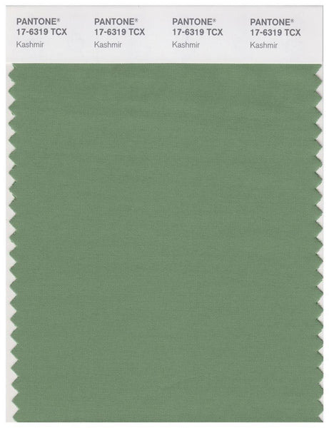 その他 PANTONE for fashion and  COLOR CARD Pantone Smart 17-1143 TCX Color Swatch Card | Hazel | Magazine