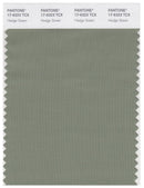 Pantone Smart 17-6323 TCX Color Swatch Card | Hedge Green