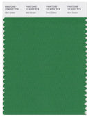 Pantone Smart 17-6333 TCX Color Swatch Card | Mint Green