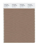 Pantone Smart 17-1038 TCX Color Swatch Card | Tiger's Eye