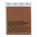 Pantone Smart 17-1052 TCX Color Swatch Card | Roasted Pecan