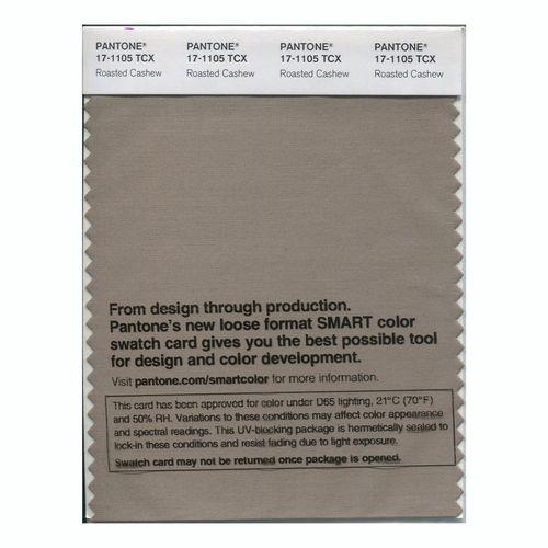 Pantone Smart 17-1105 TCX Color Swatch Card | Roasted Cashew
