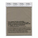 Pantone Smart 17-1108 TCX Color Swatch Card | Winter Twig