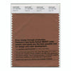 Pantone Smart 17-1142 TCX Color Swatch Card | Argan Oil