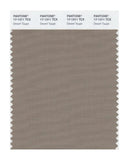 Pantone Smart 17-1311 TCX Color Swatch Card | Desert Taupe