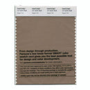 Pantone Smart 17-1314 TCX Color Swatch Card | Sepia Tint