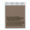 Pantone Smart 17-1314 TCX Color Swatch Card | Sepia Tint