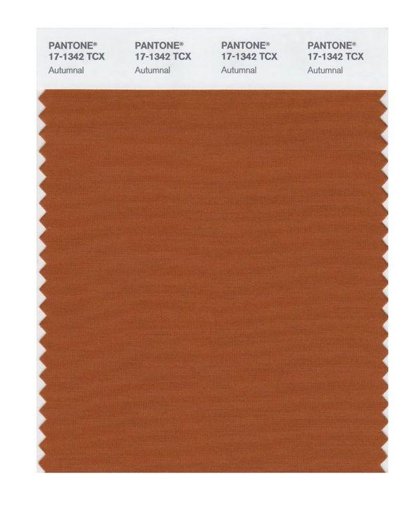 Pantone Smart 17-1342 TCX Color Swatch Card | Autumnal | Magazine