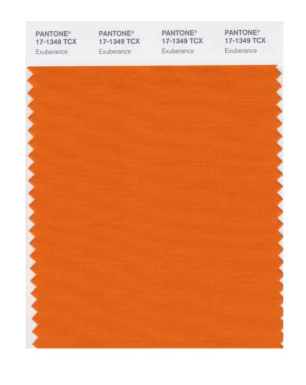 Pantone Smart 17-1349 TCX Color Swatch Card | Exuberance