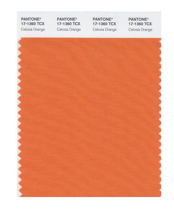 Pantone Smart 17-1360 TCX Color Swatch Card | Celosia Orange
