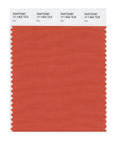 Pantone Smart 17-1452 TCX Color Swatch Card | Koi
