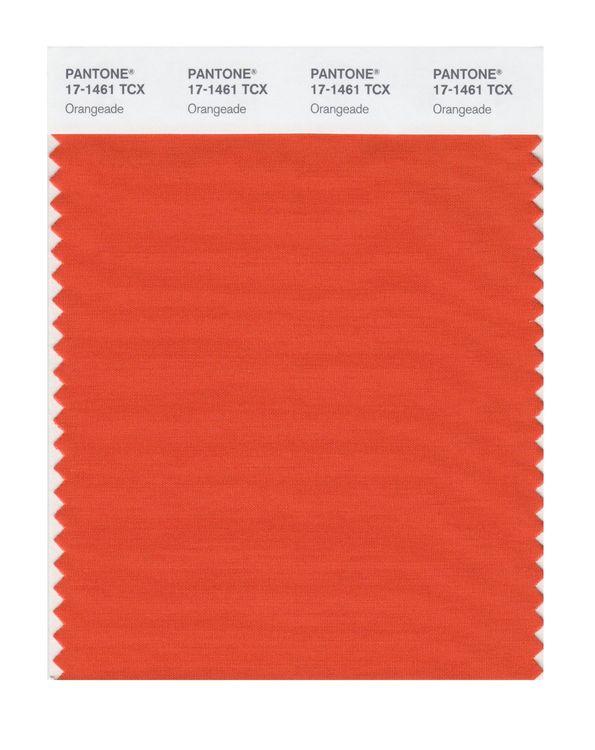 Pantone Smart 17-1461 TCX Color Swatch Card | Orangeade