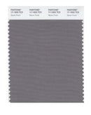 Pantone Smart 17-1503 TCX Color Swatch Card | Storm Front