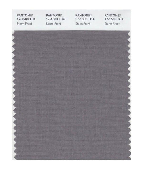Pantone Smart 17-1503 TCX Color Swatch Card | Storm Front