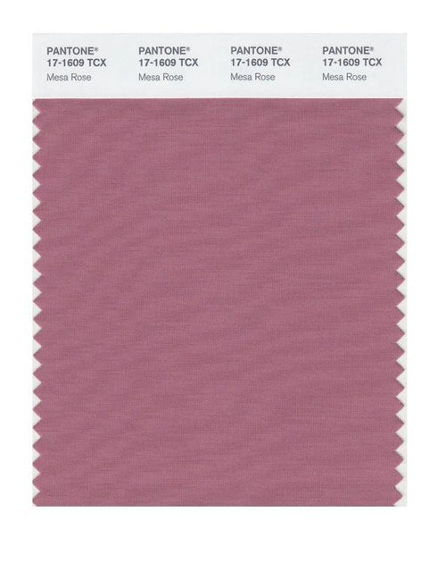 Pantone Smart 17-1609 TCX Color Swatch Card | Mesa Rose | Magazine